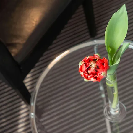 Hotel Tryp By Wyndham