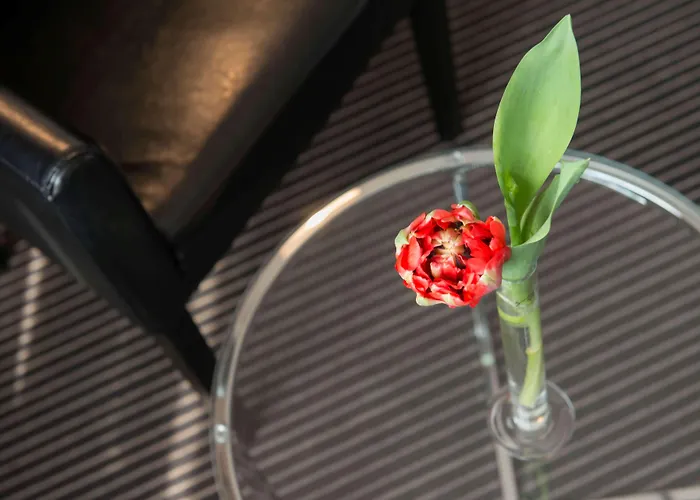 酒店 Tryp By Wyndham